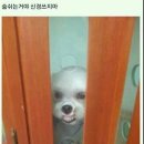 갬성스토리