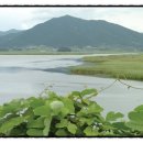 과역-1호 네이버블로그