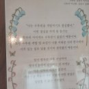 완도호랑가시나무 가로수길 | 251205~06: 태안 1박 여행 - 게국지, 천리포수목원, 신두리 해안사구, 태안해식동굴