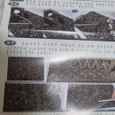 장성농장 | 새싹삼 무료체험 당첨 후기 - 장성농장 청년농부의 정성이 담긴 답례품