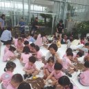 아마란스 어린이집 이미지