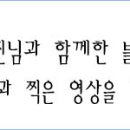 떠날 수 없는 당신 / 마이진 / 한일톱텐쇼 26회 // 2024 대한민국 국향대전 이미지