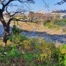 유정모텔 이미지