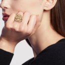 까멜리아 이미지