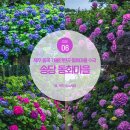 세븐일레븐제주송당마을점 | 제주 동쪽 가볼만한곳 제주 동화마을 송당 수국 개화 실시간