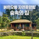 엄마가스상사 | 제주 아이랑 숙소🌲 여기 진짜 제주스럽다 싶었던 붉은오름 자연휴양림 후기