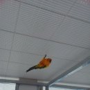 경주버드파크 이미지