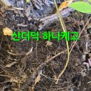 윈풀