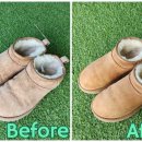 봄날의세탁소 이미지