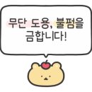 황룡stay 이미지