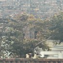 노가면옥 이미지