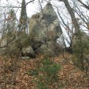 성산농원 이미지