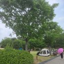 통일기원 돌무지 | 임진각 평화누리 공원 파주 데이트 가볼만한곳 텐트 곤돌라