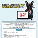 프리미엄펫 - 강동구 구천면로 160 | 프리미엄펫