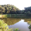 독골저수지 이미지