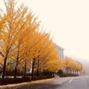 화이트 골프연습장 이미지