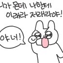 카사레스펜션