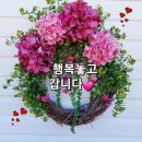 🩵좋은 기운을 주는 사람이 되라🩵 이미지