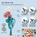 (주)피엘에스 이미지