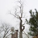 진주 응석사 대웅전 이미지