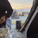 곡교천 | 아산 곡교천 은행나무 애견 동반 방문 후기