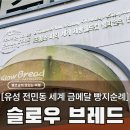 유성대로5 | 대전 전민동 빵집 슬로우브레드, 유퀴즈 명장 빵지순례 필수 코스 시그니처 솔직후기