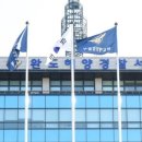 완도11호 이미지