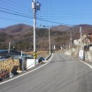 메추리농장 이미지