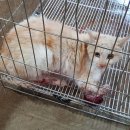 중앙7길 이미지