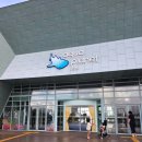 아쿠아플라넷 제주 | 아쿠아플라넷 제주 오픈런 후기 투명보트·해녀 공연·방향제 만들기까지