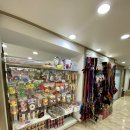 강아지 나라 이미지