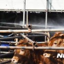 판이농장 이미지