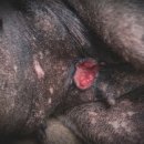 연수동물메디컬센터 이미지