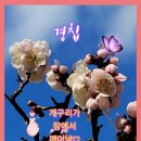 그린씨티