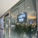 미르동물의료센터