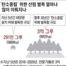 어린나무까지 무차별 벌목… 산으로 가는 文정부 탄소정책 이미지