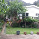 버들치민박 이미지