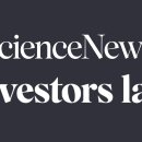 1:1 L·FIT 이미지