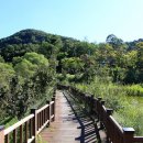 연기면_원수산MTB공원 이미지