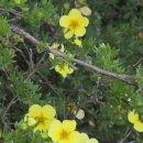 더대청호 이미지