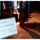 성호 태양광발전소 이미지