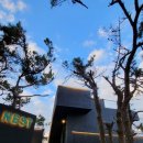 포항시남구46 이미지