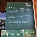 담양 죽녹원, 대나무숲에서 느낀 봄날의 힐링 🌿