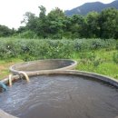 귤낭귤낭 이미지