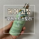 내돈내산 포레스트스토리 헤어 고정 스프레이 후기