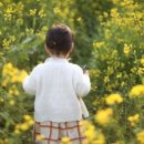 서아목장 이미지