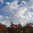 자담치킨(옥산점) 이미지