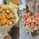 플레르하나 이미지