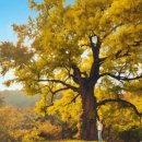 가을여행 이미지