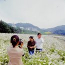 꽃동산유통